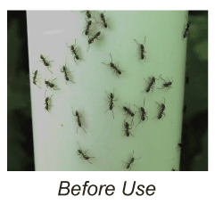 Before Use of Nectar Fortress, ants on a pole 